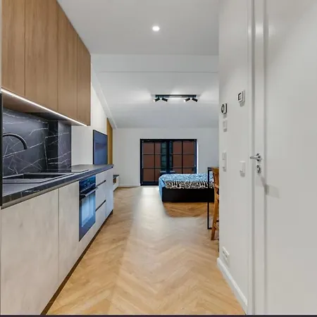 Appartement Volta Loft *