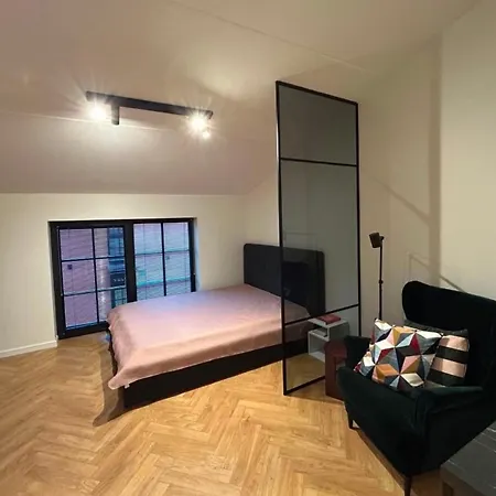 Appartement Volta Loft *